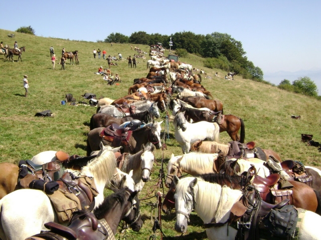 Rallies and equestrian gatherings 